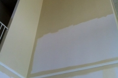 Commercial Interior Painting
